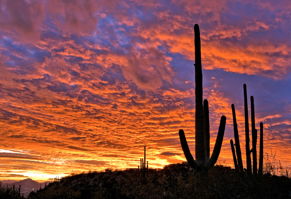 Tucson Arizona Sunset Crown Concepts